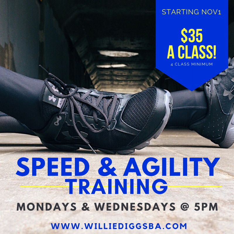 Willie Diggs Basketball Academy